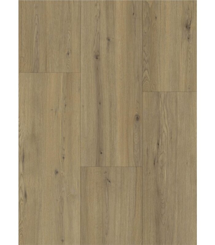 Maestro laminaat kleur Disentis Oak (80631)